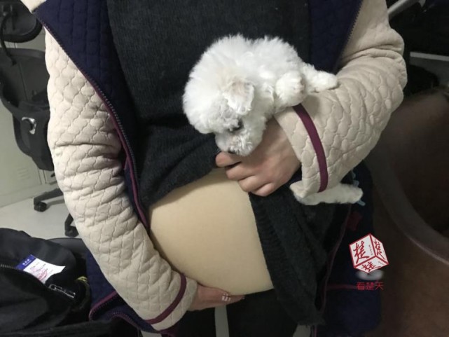 硅胶假肚子孕妇装,怀孕硅胶假肚子测评孕味十足