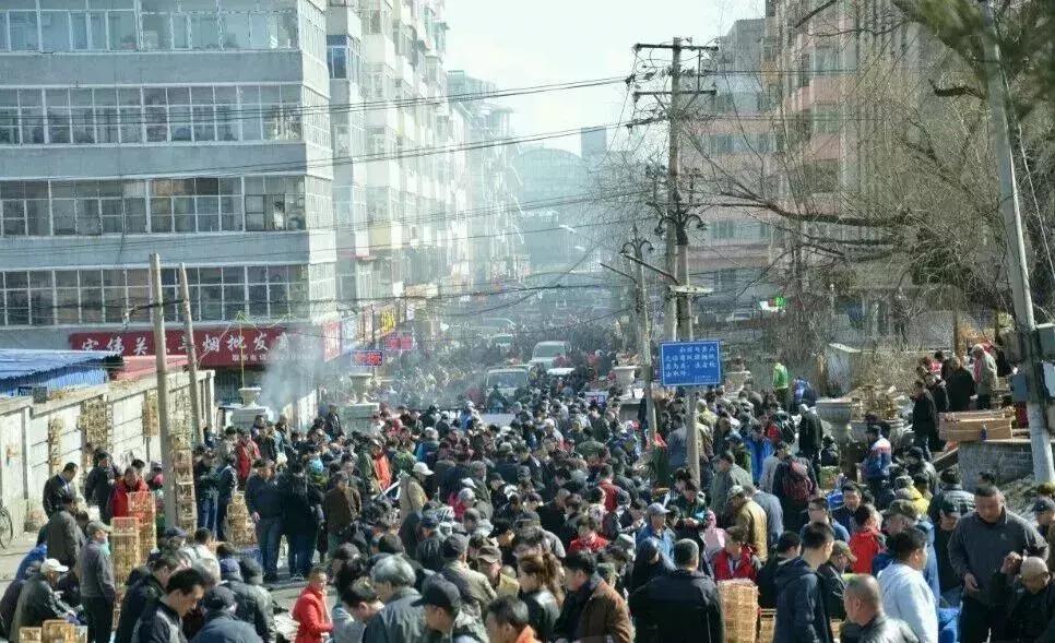 哈尔滨买年货必去的地方,哈尔滨批发市场做什么生意好