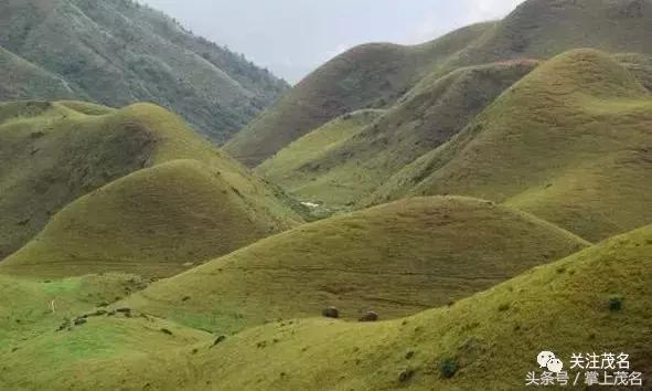 高州各镇历史来历,高州市有多少个镇街
