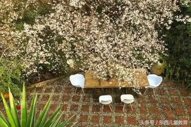 命运给他开了天大的玩笑,命运给她开了一个玩笑