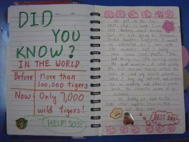 还在责备孩子英语成绩不好？那是因为没做好“听说读写”这4点！