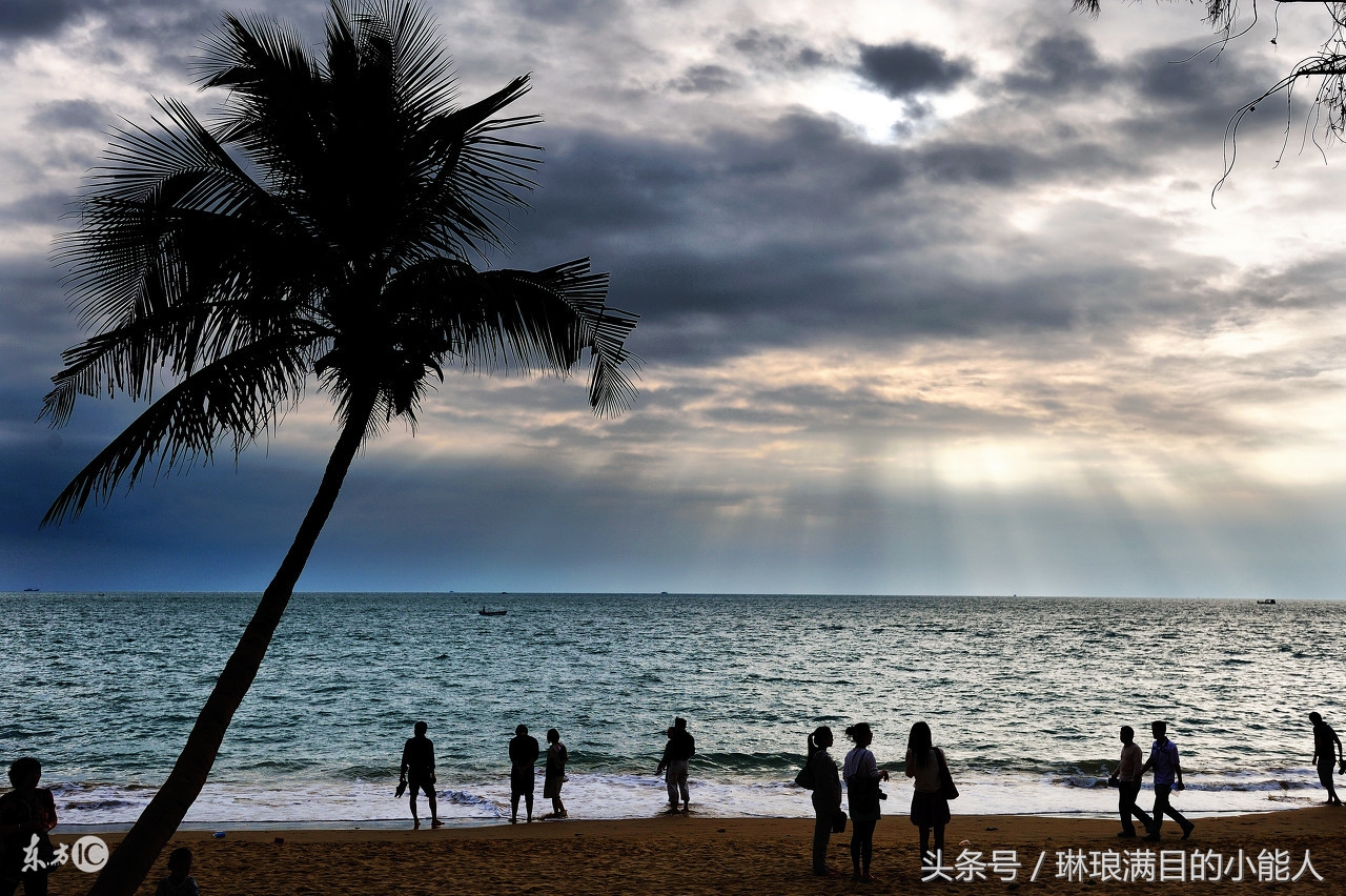 候鸟过冬需要注意什么,今年冬天去海南旅游有什么讲究