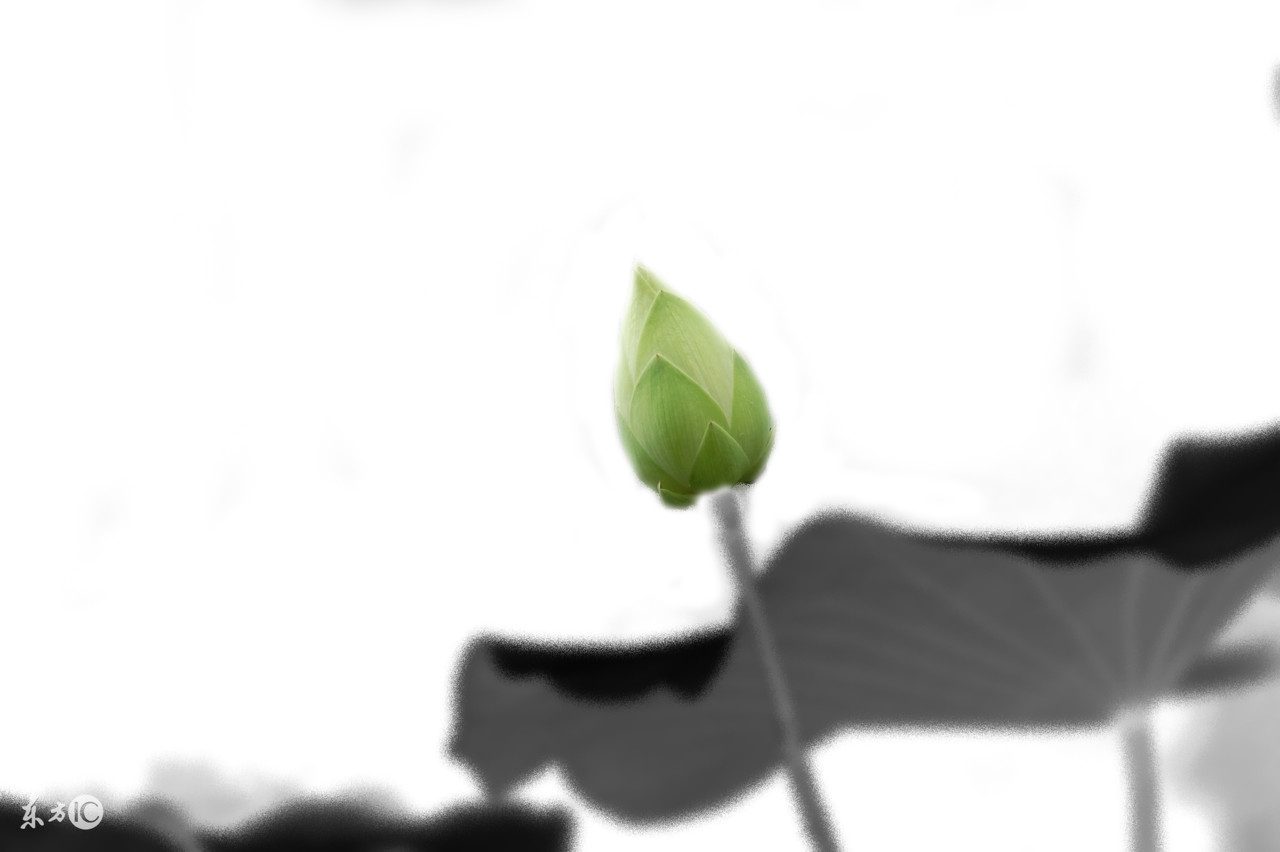 10位焦虑抑郁患者的真实康复经历,真正的抑郁焦虑患者康复自述