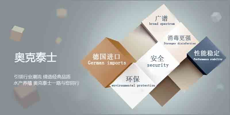 石斑鱼细菌感染用什么药治疗好,石斑鱼常见细菌病图片