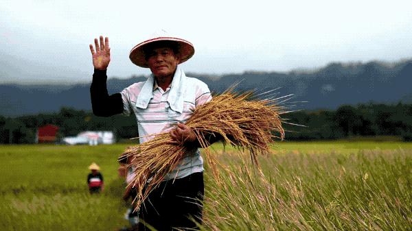 一个恐高的人,高空作业20多年,舍命拍出了最美纪录片
