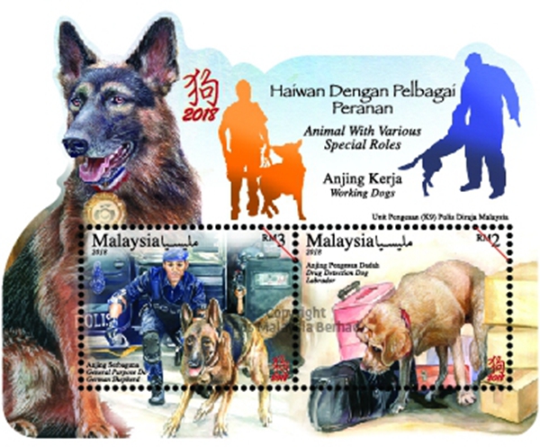 姣忔棩閭エ琛屾儏,姣忔棩閭エ閴磋祻鐢熻倴