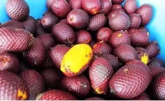 最奇葩的六种水果,你没吃过的十种奇葩水果