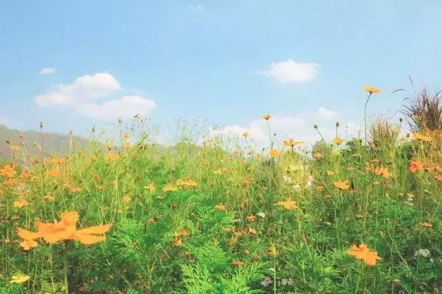 带你去普吉,和你一起去普吉岛