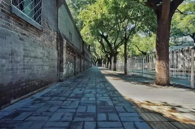 北京最值得游玩的胡同,北京有意思的胡同攻略