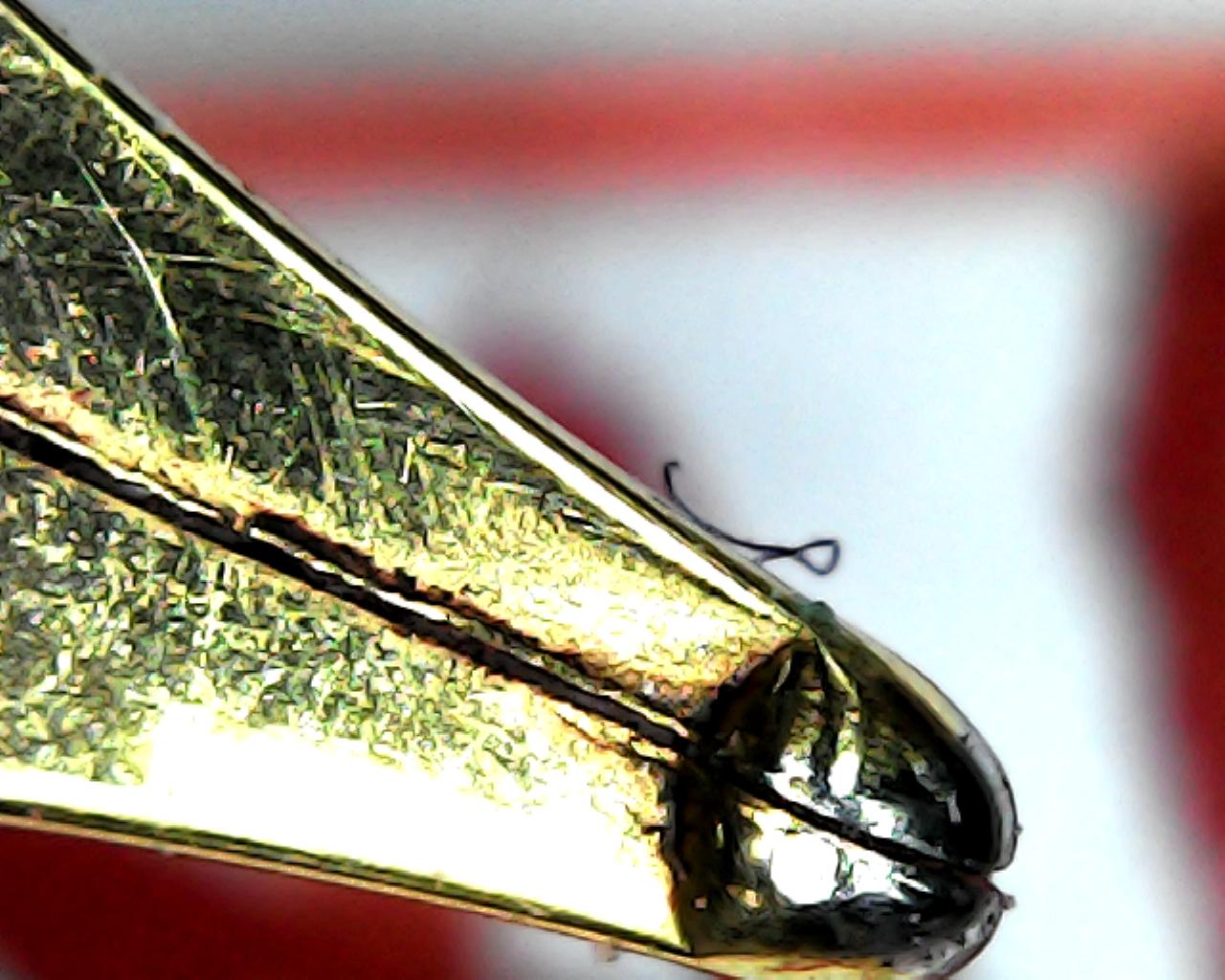 各种钢笔笔尖测评,钢笔有三种笔尖你都知道吗