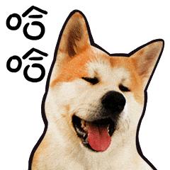 导师面试的奇葩问题,你面试的时候遇到过哪些奇葩事