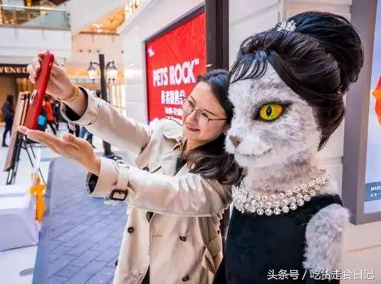 PETS ROCK x STARBUCKS 联名限量!又一波新的汪星人提前发售!