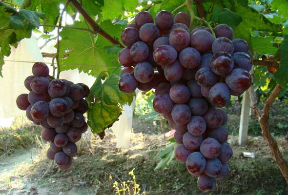 老是担心自己母乳不够,总担心奶水不够宝宝吃怎么办