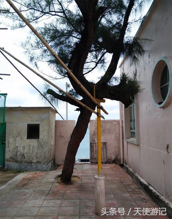 去香港玩必去的电影拍摄地,香港经典电影旅游攻略