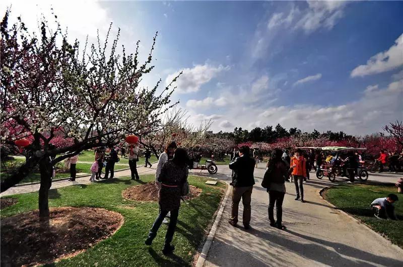 上海100个公园图片,上海有哪些免费的国家级公园