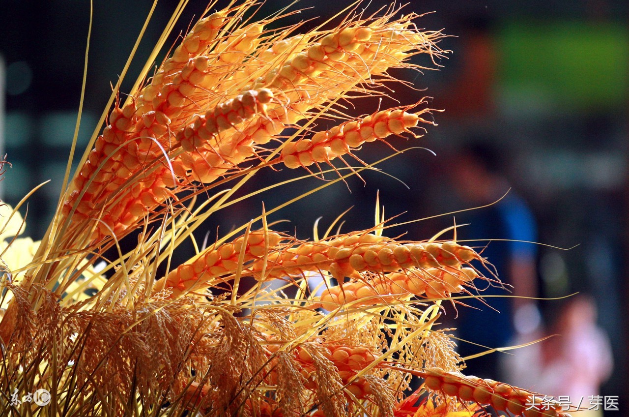 元气大伤是什么意思,元气大伤的意思