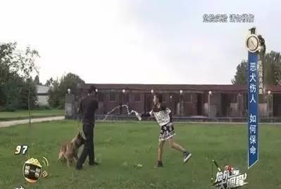 男童遭7只恶犬撕咬,小男孩被三条恶犬咬目前情况