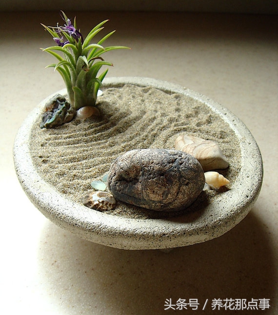 在办公室里应该摆什么样的花,高山流水盆景办公室小禅意