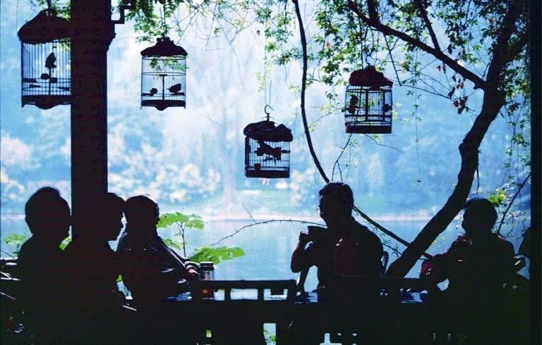 你家隔壁子可能住了个名人~快为你的“邻居”疯狂打call!