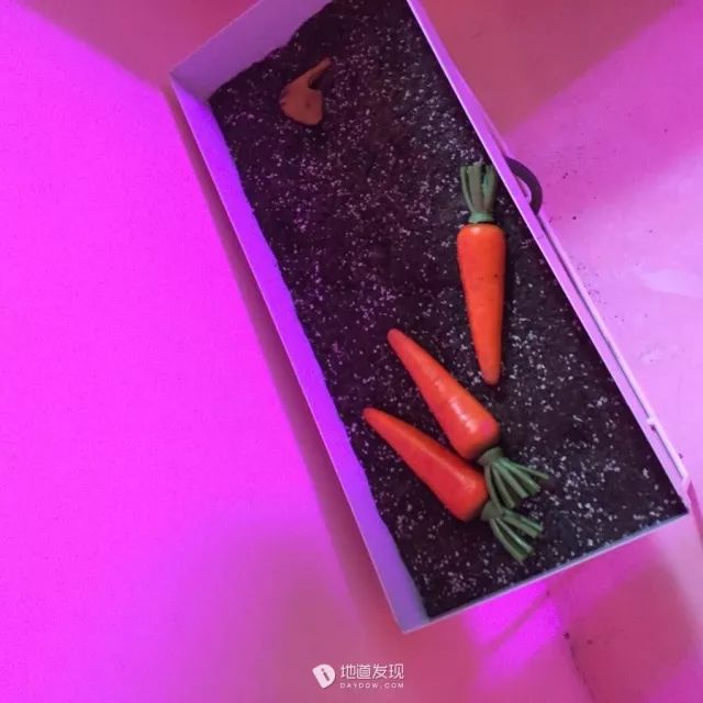 广州番禺网红咖啡店打卡前十名 (最近比较火的网红咖啡店广州)