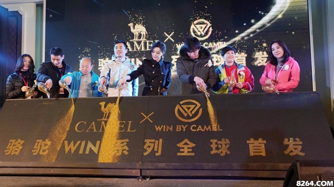 骆驼新品发布会范冰冰,范冰冰出席李晨发布会