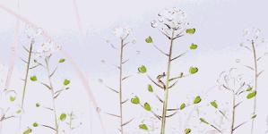 恩施免费景点2024,2018恩施