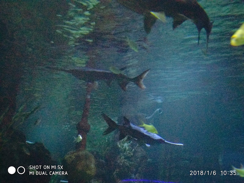 自驾游环游中国路线安徽出发,开封至安徽黄山自驾游攻略