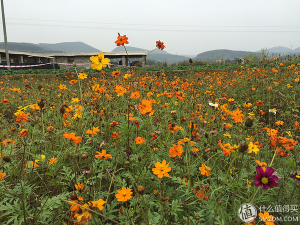 htcone和a9,htconea9和a9w