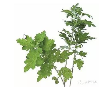 春夏艾灸哪里去湿气,春夏养阳艾灸