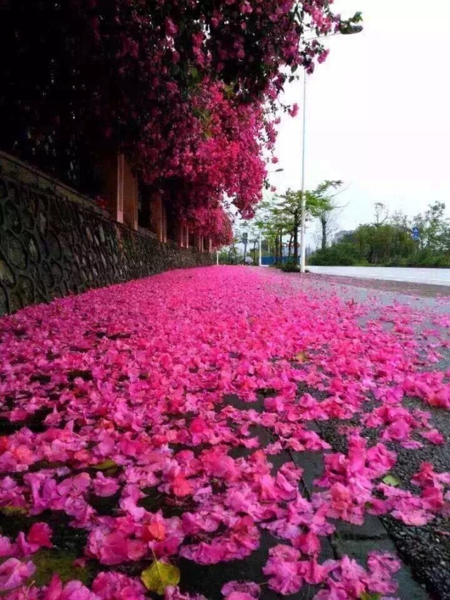 昨夜的狂风完整版,昨夜的狂风原版