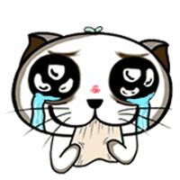 假货骗人的真实案例,假货大揭秘视频