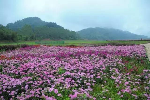 不吹牛了,不吹牛你会怎么样