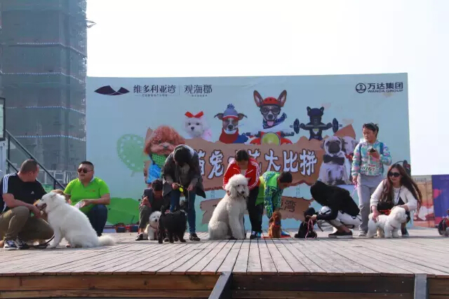 鏉ヨ繖閲屾劅鍙楃儫鐏皵鍜屽褰╀笉澶滃煄,鏉ヨ繖閲屼綋楠屼笘澶栨婧愮殑鎰熻