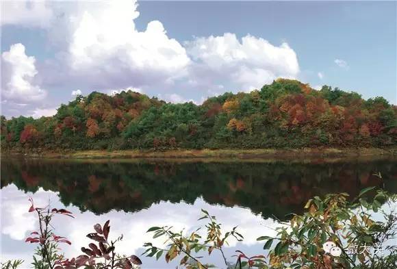 秘境摹本,秘境书法字