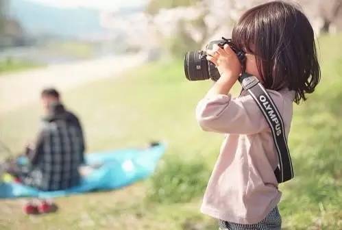 古树名木摄影作品欣赏,美丽中国评选大赛