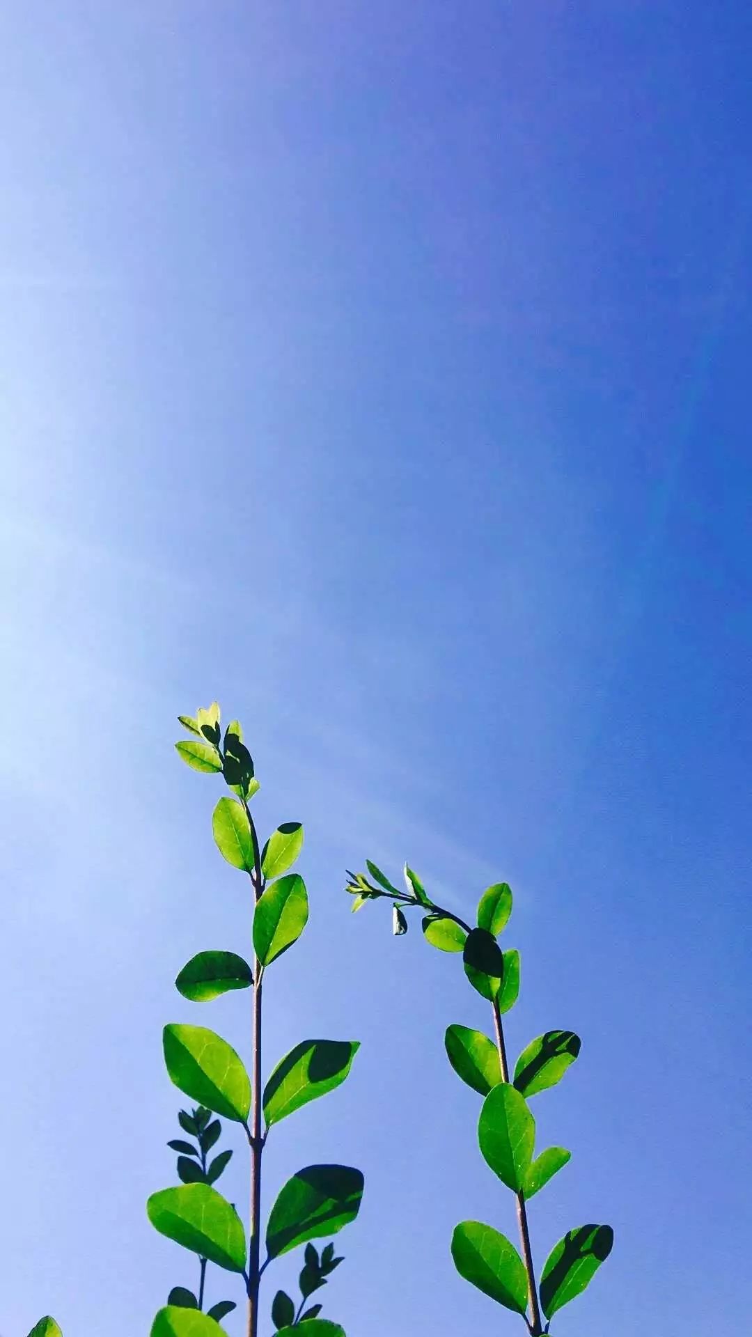 选一款吧！从此攀大就掌握在你手里了！