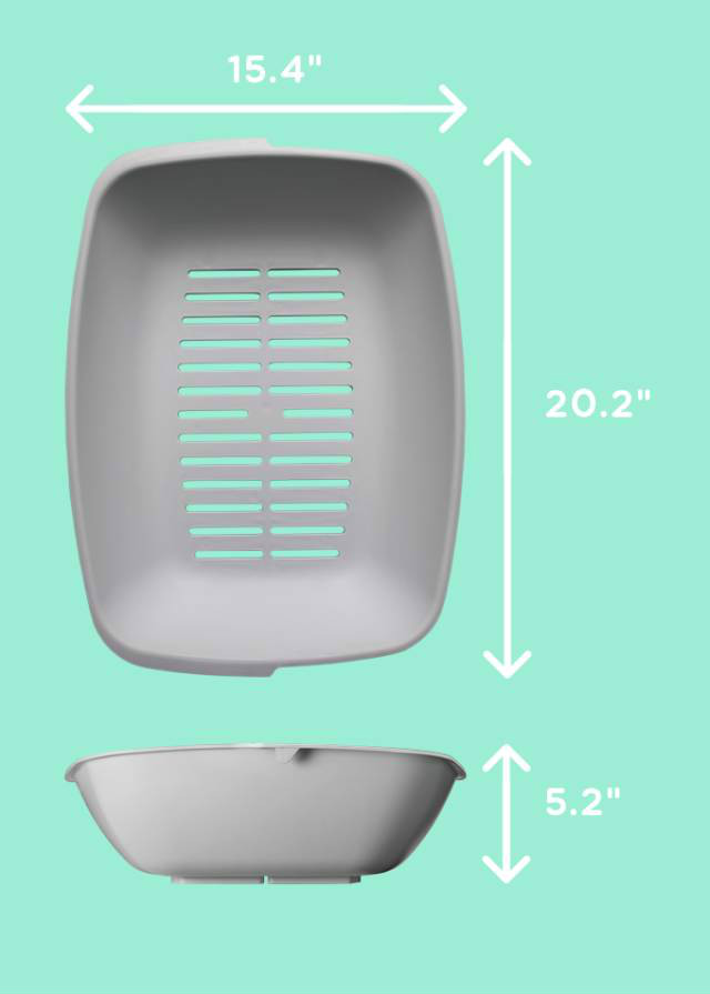 猫奴福音,猫奴拯救猫咪