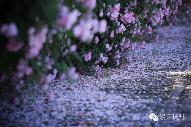 狂风过后蓝天白云天上飘,狂风过后晴空万里