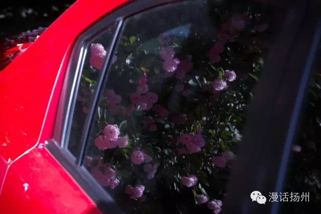 狂风过后蓝天白云天上飘,狂风过后晴空万里