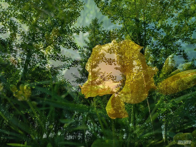 nubiaz11和z11mini,nubiaz11minis详细参数