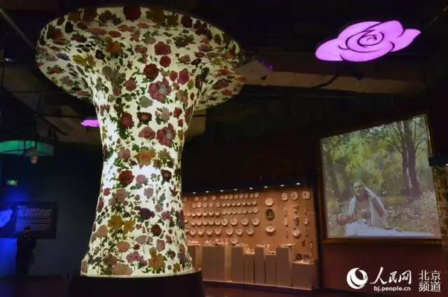 世界首座月季博物馆,月季主题公园月季博物馆