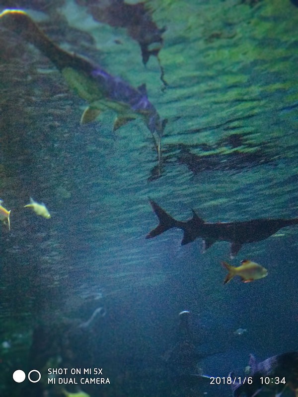 自驾游环游中国路线安徽出发,开封至安徽黄山自驾游攻略