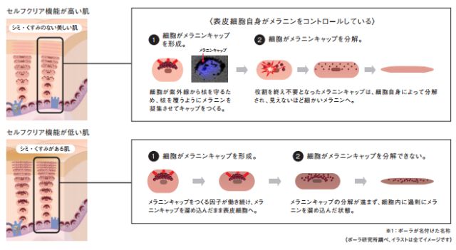 pola美白系列哪款好,pola美白系列好吗