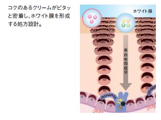 pola美白系列哪款好,pola美白系列好吗