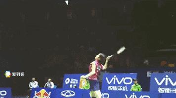 你为羽毛球付出了多少,为什么打羽毛球要花那么多钱