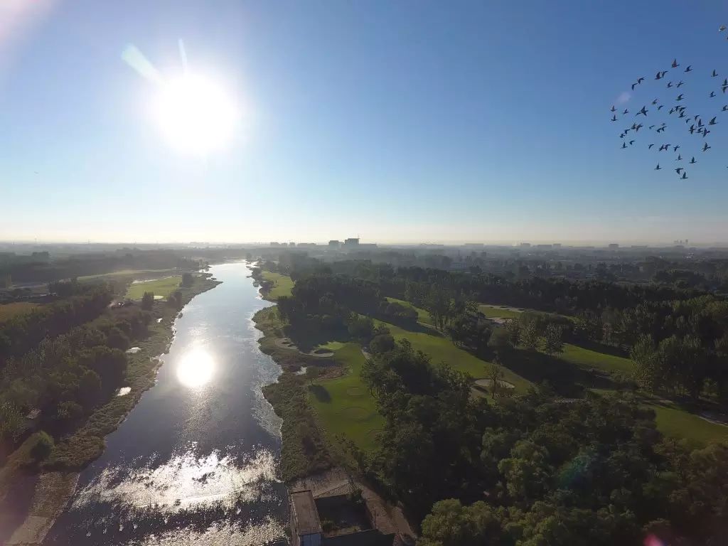 写同学活动的习作片段,小学三年级写集体活动的作文