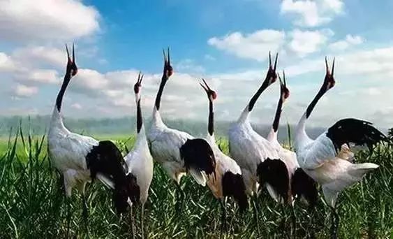 南京最富裕最有钱的是哪个区,江苏最有钱的城市排行