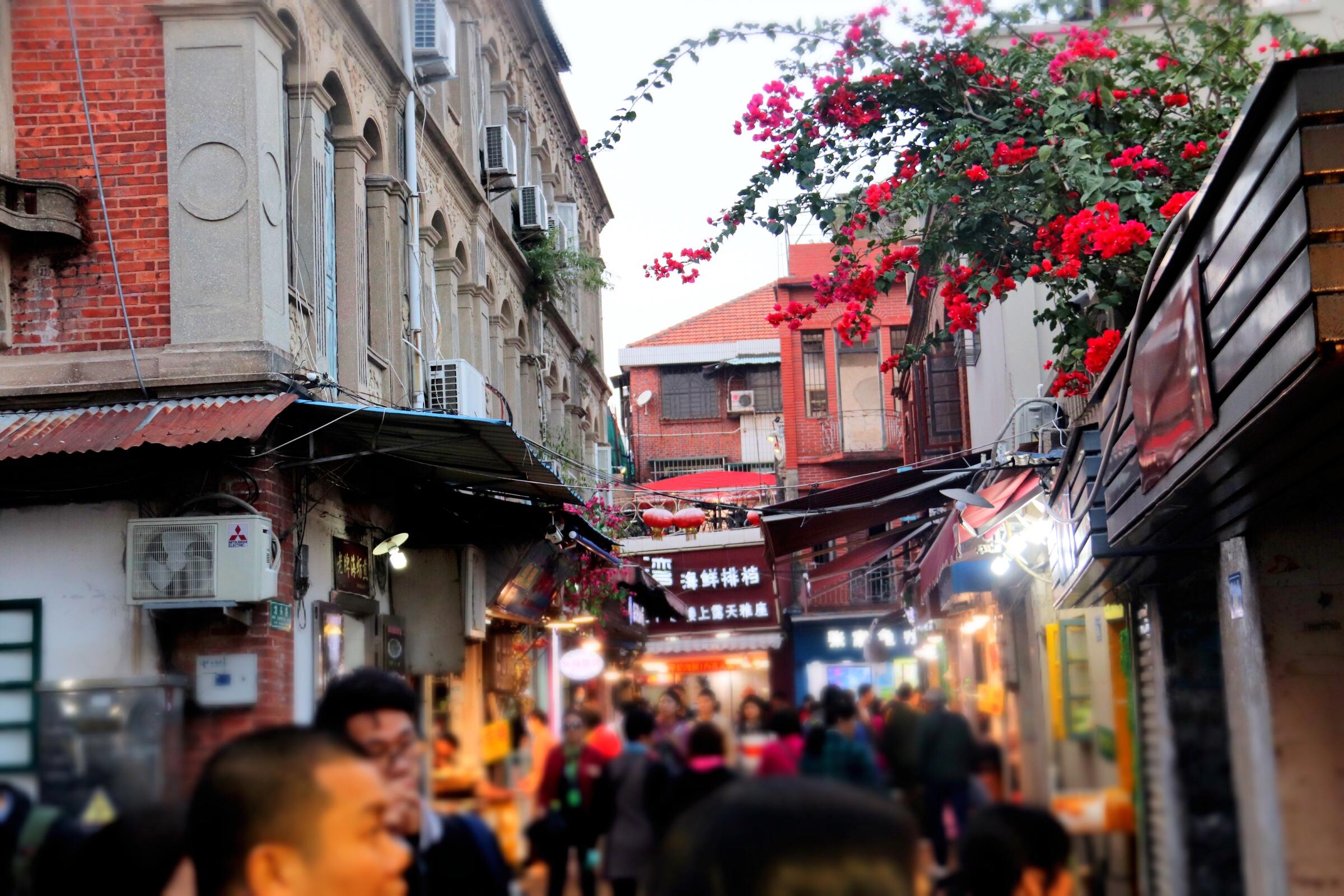 别吃海鲜，买特产这么选这份鼓浪屿美食攻略，包你旅游少跳坑