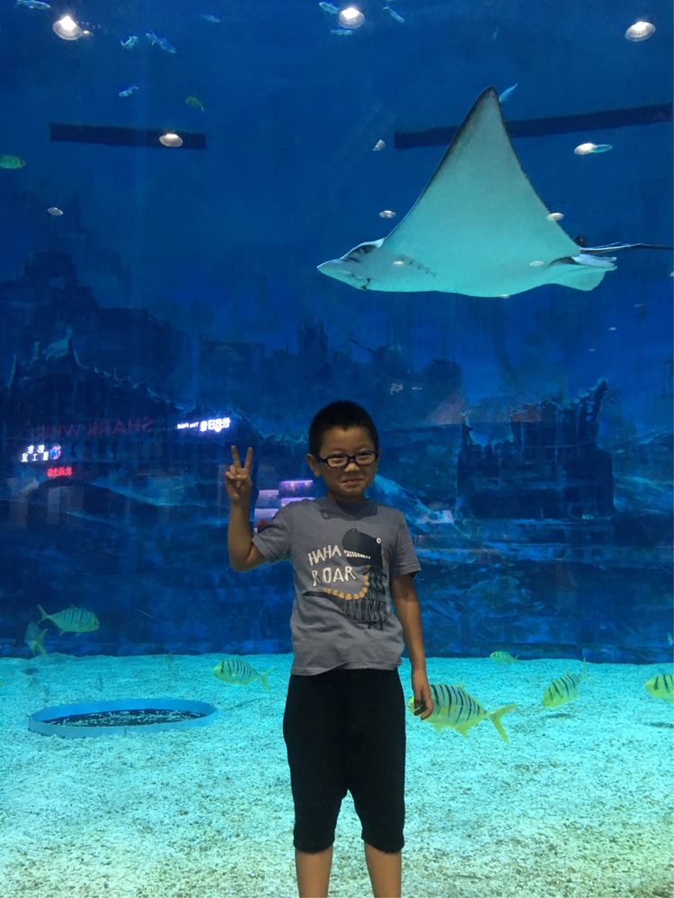 和小屁孩们一起出去玩的视频,和小屁孩玩的一天