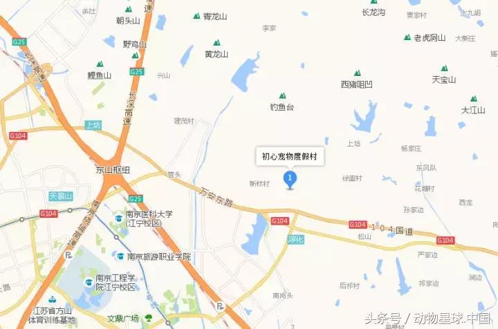 锋哥狗狗,狗狗毛发干枯无光泽吃什么